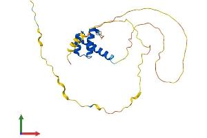 AlphaFold protein structure predicition of Human Recombinant MIXL1 Protein, UniprotID Q9H2W2