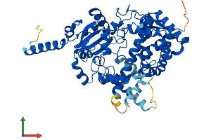 AlphaFold protein structure predicition of Mouse Recombinant Cyp3a25 Protein, UniprotID O09158