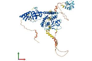 AlphaFold protein structure predicition of Mouse Recombinant Ddhd2 Protein, UniprotID Q80Y98