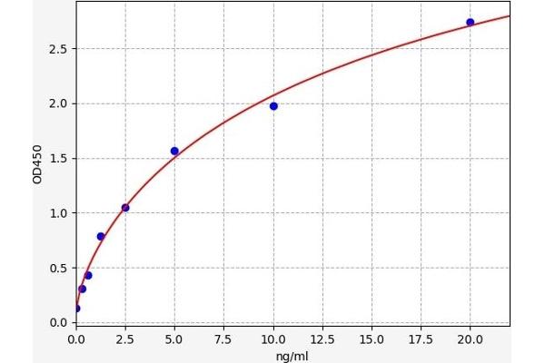 Prokineticin Receptor 2 ELISA 试剂盒