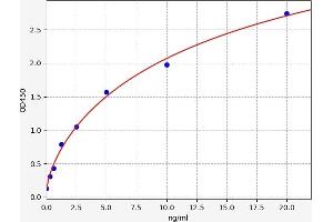 Typical standard curve (Prokineticin Receptor 2 ELISA 试剂盒)