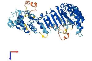 AlphaFold protein structure predicition of Human Recombinant PRAMEF18 Protein, UniprotID Q5VWM3