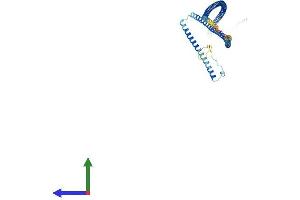 Protein Structure (PS) image for Growth Arrest-Specific 8 (GAS8) (AA 1-478) protein (His tag) (ABIN7557614)