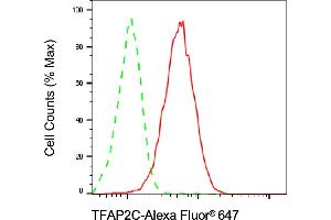 Flow cytometric analysis of TFAP2C expression in HAP-1 cells using TFAP2C antibody (ABIN7800592), 1:2,000).