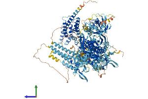 AlphaFold protein structure predicition of Human Recombinant PREX2 Protein, UniprotID Q70Z35 (PREX2 Protein (AA 1-1606) (His tag))