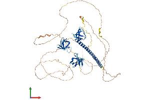 Protein Structure (PS) image for CD2-Associated Protein (Cd2ap) (AA 1-637) protein (His tag) (ABIN7565118)