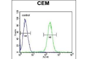 5HT3E Antibody (Center) (ABIN654485 and ABIN2844220) flow cytometric analysis of CEM cells (right histogram) compared to a negative control cell (left histogram). (HTR3E 抗体  (AA 126-154))