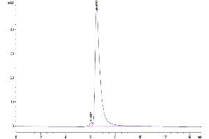 The purity of Biotinylated Human Siglec-4a/MAG is greater than 95 % as determined by SEC-HPLC. (MAG Protein (AA 20-516) (His-Avi Tag,Biotin))