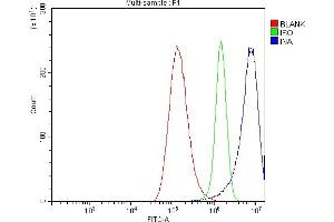 Flow Cytometry analysis of A549 cells using anti-Alpha Internexin/INA antibody (ABIN7602187).