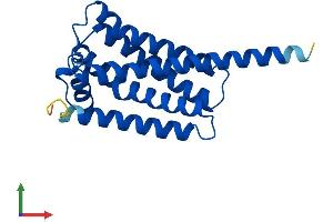 AlphaFold protein structure predicition of Human Recombinant EBPL Protein, UniprotID Q9BY08 (EBPL Protein (AA 1-206) (His tag))