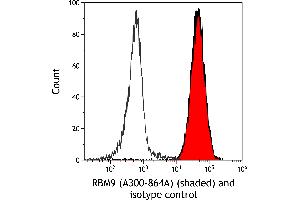 Flow Cytometry (FACS) image for anti-RNA Binding Motif Protein 9 (RBM9) (AA 1-50) antibody (ABIN7454680) (RBM9 抗体  (AA 1-50))