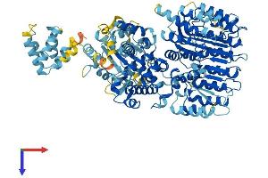 AlphaFold protein structure predicition of Mouse Recombinant Nlrp4a Protein, UniprotID Q8BU40