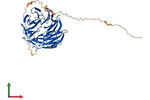 Protein Structure (PS) image for Angio-Associated, Migratory Cell Protein (AAMP) (AA 1-434) protein (His tag) (ABIN7551755)