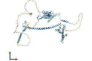 Protein Structure (PS) image for Cactin, Spliceosome C Complex Subunit (CACTIN) (AA 1-772) protein (His tag) (ABIN7564941)