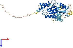AlphaFold protein structure predicition of Human Recombinant RWDD2B Protein, UniprotID P57060