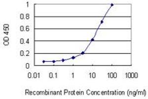 Detection limit for recombinant GST tagged SFTPA1 is 0. (Surfactant Protein A1 抗体  (AA 83-199))