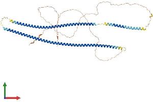 Protein Structure (PS) image for Keratin 6B (KRT6B) (AA 1-562) protein (His tag) (ABIN7556458)