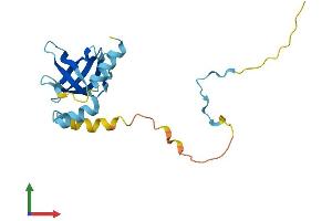 Protein Structure (PS) image for Eukaryotic Translation Initiation Factor 1A Domain Containing (EIF1AD) (AA 1-165) protein (His tag) (ABIN7547417)