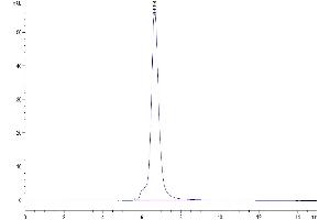The purity of Human CD37 is greater than 95 % as determined by SEC-HPLC.