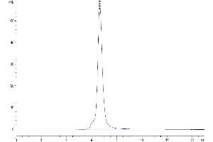 The purity of Human CD37 is greater than 95 % as determined by SEC-HPLC. (CD37 Protein (AA 113-240) (Fc Tag))