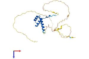 DLX1 Protein (AA 1-255) (His tag)