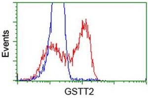 Flow Cytometry (FACS) image for anti-Glutathione S-Transferase theta 2 (GSTT2) antibody (ABIN1498557) (GSTT2 抗体)