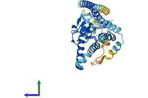 Protein Structure (PS) image for Peroxisomal Biogenesis Factor 10 (PEX10) (AA 1-326) protein (His tag) (ABIN7550744)