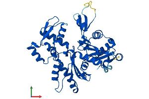 Protein Structure (PS) image for Actin, beta (ACTB) (AA 1-375) protein (His tag) (ABIN7556562)