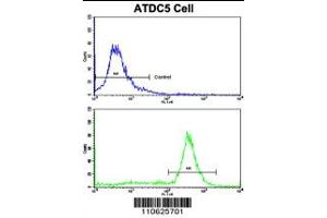 Flow cytometric analysis of ATDC5 cells using PHB1 Antibody (N-term)(bottom histogram) compared to a negative control cell (top histogram). (Prohibitin 抗体  (N-Term))
