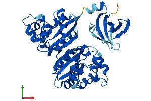 AlphaFold protein structure predicition of Human Recombinant NME7 Protein, UniprotID Q9Y5B8 (NME7 Protein (AA 1-376) (His tag))