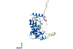 Protein Structure (PS) image for Ring Finger Protein 166 (RNF166) (AA 1-237) protein (His tag) (ABIN7551459)