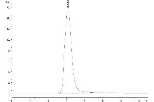 Size-exclusion chromatography-High Pressure Liquid Chromatography (SEC-HPLC) image for Cytokine Receptor-Like Factor 2 (CRLF2) (AA 25-231) protein (Fc Tag) (ABIN7275803)
