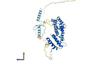 AlphaFold protein structure predicition of Mouse Recombinant Paip1 Protein, UniprotID Q8VE62