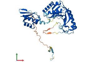 Protein Structure (PS) image for Activating Signal Cointegrator 1 Complex Subunit 1 (ASCC1) (AA 1-356) protein (His tag) (ABIN7561146)