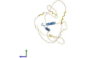 Protein Structure (PS) image for T-Cell Acute Lymphocytic Leukemia 1 (TAL1) (AA 1-331) protein (His tag) (ABIN7544159)