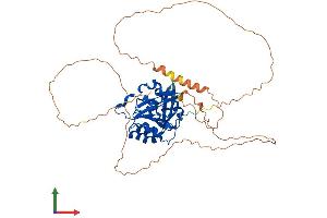Protein Structure (PS) image for CTD (Carboxy-Terminal Domain, RNA Polymerase II, Polypeptide A) Small Phosphatase Like 2 (CTDSPL2) (AA 1-465) protein (His tag) (ABIN7558516)