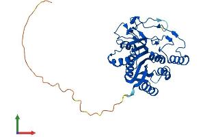 Protein Structure (PS) image for UDP-Gal:betaGal beta 1,3-Galactosyltransferase Polypeptide 6 (B3GALT6) (AA 1-325) protein (His tag) (ABIN7560131)