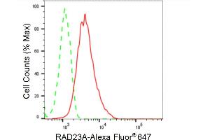 Flow cytometric analysis of RAD23A expression in HepG2 cells using RAD23A antibody (ABIN7800116), 1:2,000).
