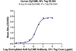 Immobilized Human EpCAM, hFc Tag at 1 μg/mL (100 μL/well) on the plate.