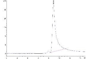 Size-exclusion chromatography-High Pressure Liquid Chromatography (SEC-HPLC) image for Killer Cell Lectin-Like Receptor Subfamily K, Member 1 (KLRK1) (AA 90-232) protein (His tag) (ABIN7275344)
