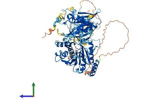 Protein Structure (PS) image for Methyltransferase Like 19 (METTL19) (AA 1-713) protein (His tag) (ABIN7560922)