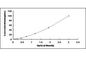 Typical standard curve (GGT5 ELISA 试剂盒)