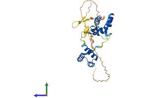 Protein Structure (PS) image for POU Class 6 Homeobox 1 (POU6F1) (AA 1-301) protein (His tag) (ABIN7550927)