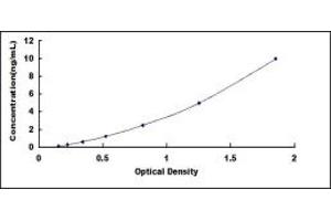 Typical standard curve (LAG3 ELISA 试剂盒)