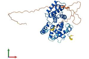 AlphaFold protein structure predicition of Mouse Recombinant Ccno Protein, UniprotID P0C242 (Cyclin O Protein (CCNO) (AA 1-352) (His tag))