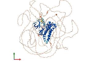 AlphaFold protein structure predicition of Human Recombinant HIPK2 Protein, UniprotID Q9H2X6