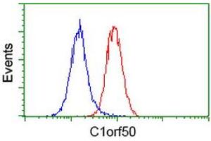 Flow cytometric Analysis of Hela cells, using anti-C1orf50 antibody (ABIN2454573), (Red), compared to a nonspecific negative control antibody, (Blue). (C1ORF50 抗体)
