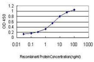Detection limit for recombinant GST tagged ERH is approximately 0. (ERH 抗体  (AA 1-104))