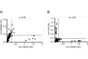 Correlation between anti-HMGB1 and anti-HMGB2 (A), and anti-HSA (B) IgG titers. (兔 anti-人 IgG (Heavy & Light Chain) Antibody (HRP))