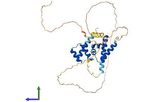 Protein Structure (PS) image for POU Domain, Class 4, Transcription Factor 3 (POU4F3) (AA 1-338) protein (His tag) (ABIN7550928)